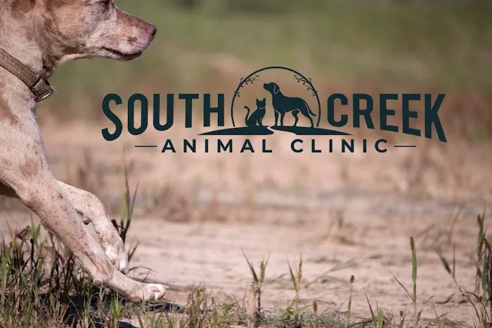 South Creek Animal Clinic 12