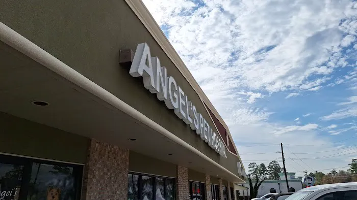 Angel's Pet Hospital 12