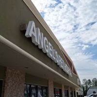 Angel's Pet Hospital ico