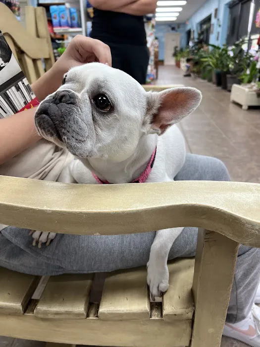 Angel's Pet Hospital 12