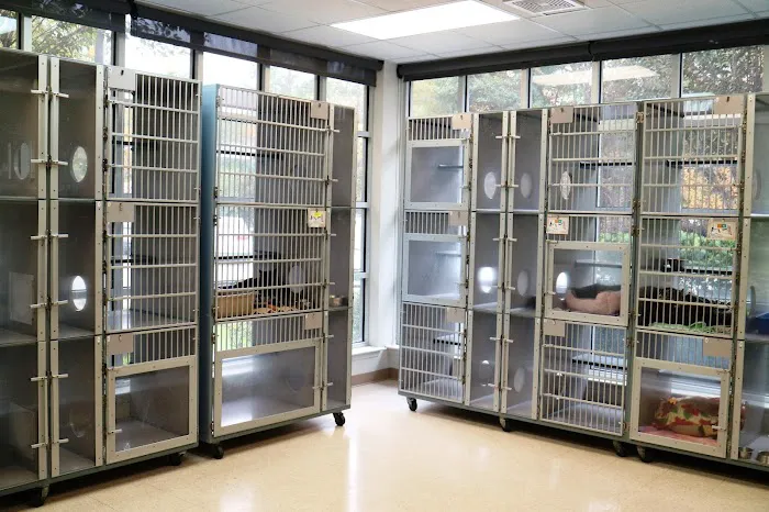 Just Cats Veterinary Services 12