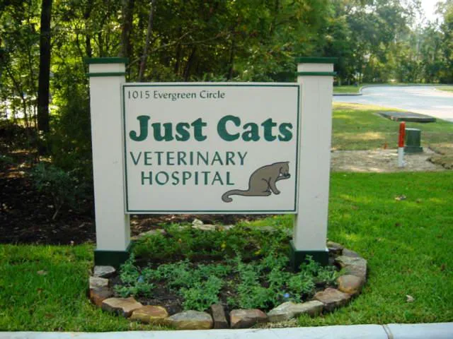 Just Cats Veterinary Services 12