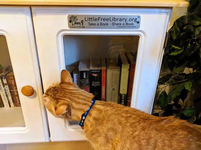 Just Cats Veterinary Services 12