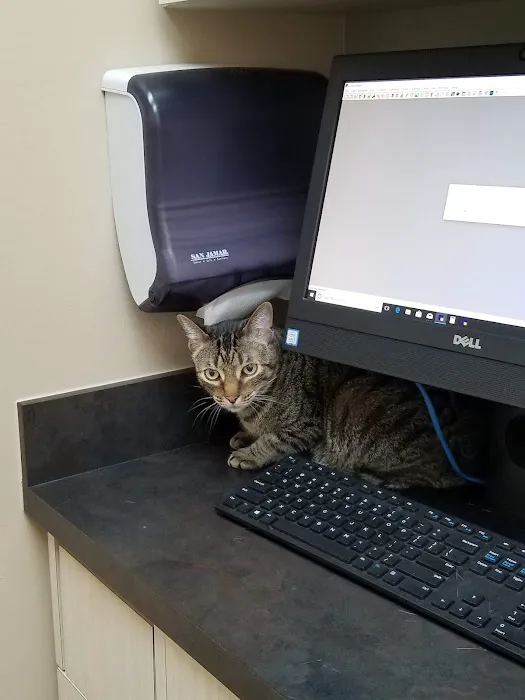 Northpointe Animal Hospital 12