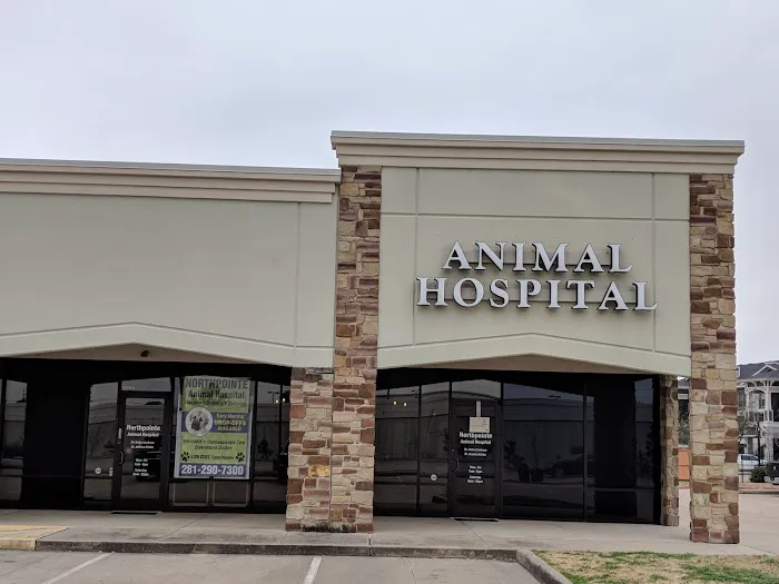 Northpointe Animal Hospital 12