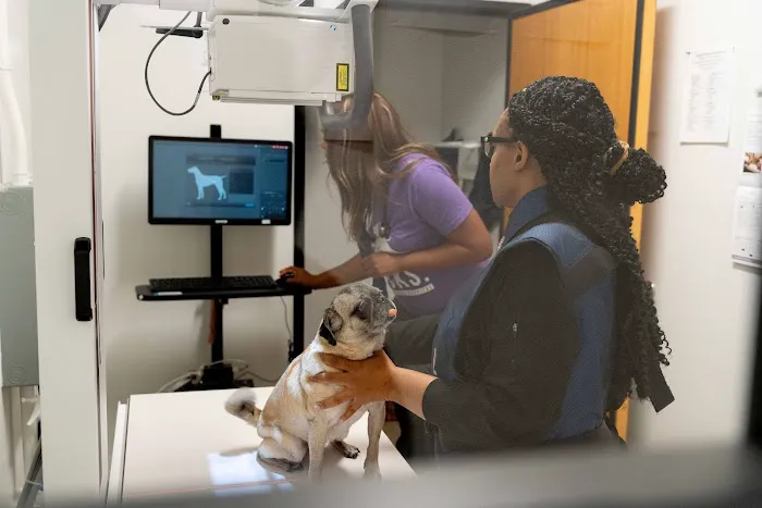 PetSmart Veterinary Services - Westheimer (Dunvale) 12