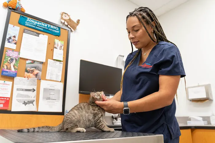 PetSmart Veterinary Services - Westheimer (Dunvale) 12