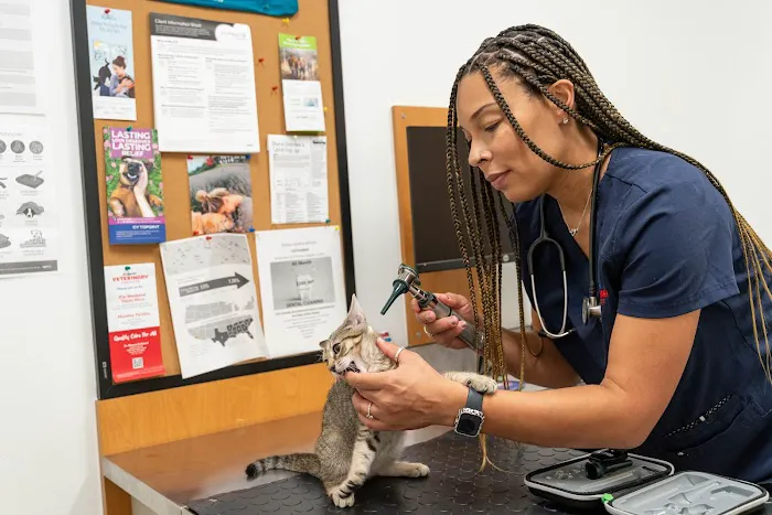 PetSmart Veterinary Services - Westheimer (Dunvale) 12