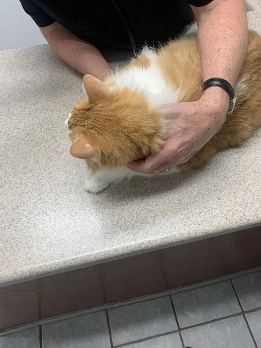 Fondren Animal Hospital 12