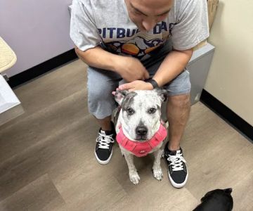 Tanglewilde Veterinary Clinic