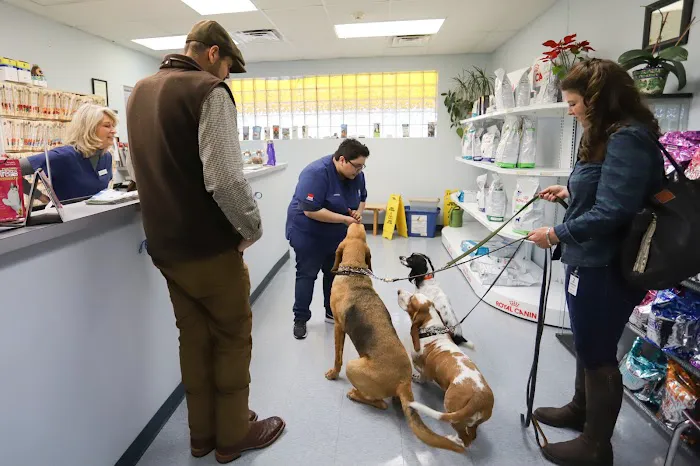 Tanglewilde Veterinary Clinic 12