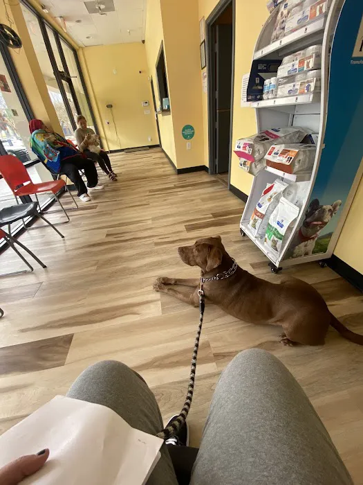 Woodlake Pet Hospital 12