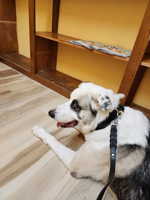 Woodlake Pet Hospital 12