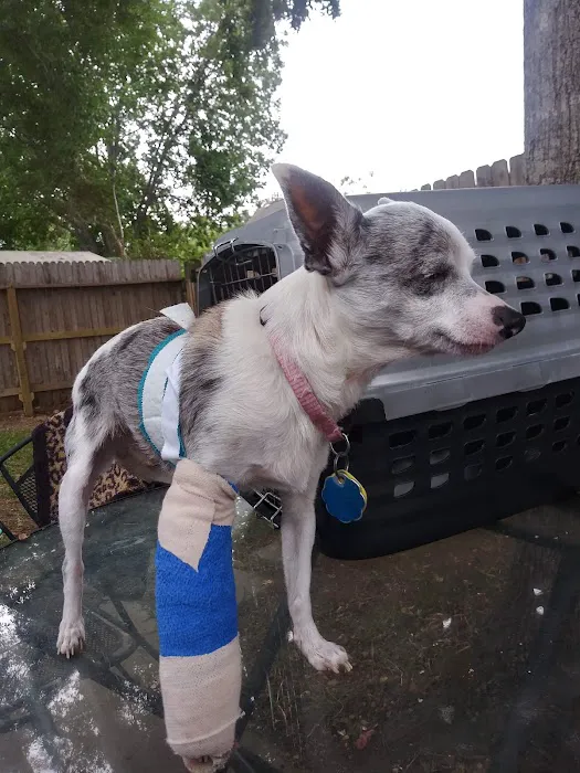 Woodlake Pet Hospital 12