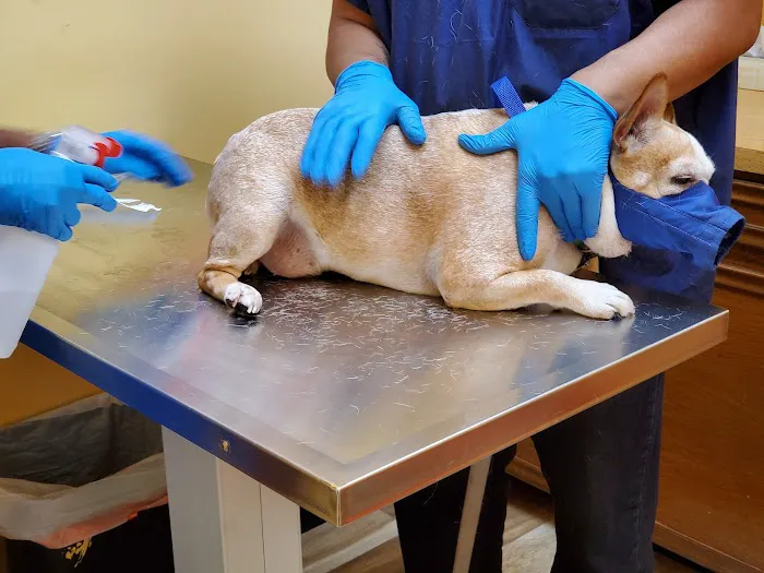 Woodlake Pet Hospital 12