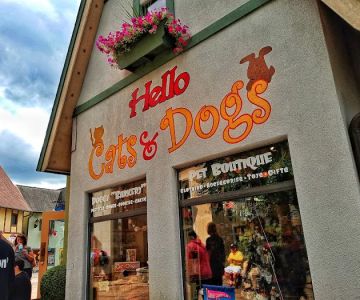 Hello Cats & Dogs