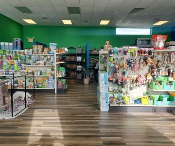 Custom Creatures Pet Shop