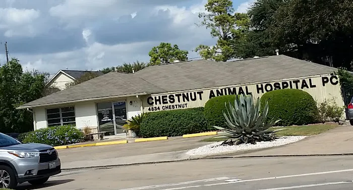 Chestnut Animal Hospital PC 12
