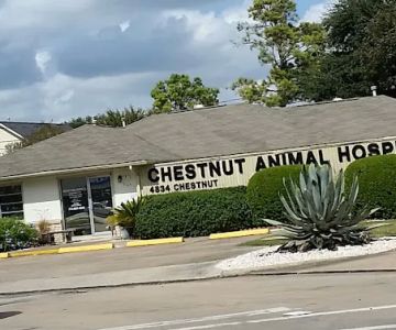 Chestnut Animal Hospital PC