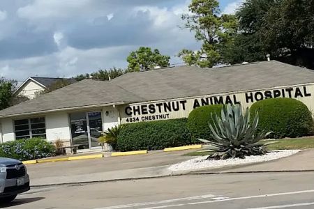 Chestnut Animal Hospital PC
