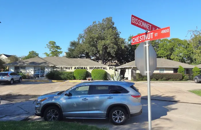 Chestnut Animal Hospital PC 12