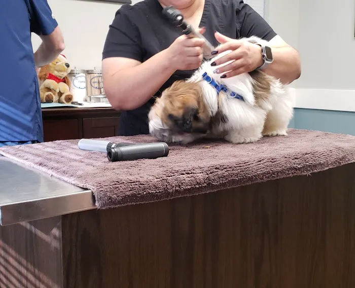 Chestnut Animal Hospital PC 12