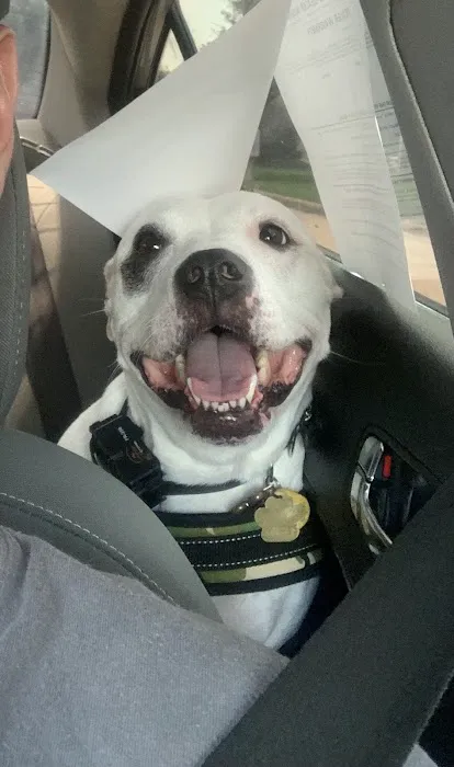 Westchase Animal Clinic 12