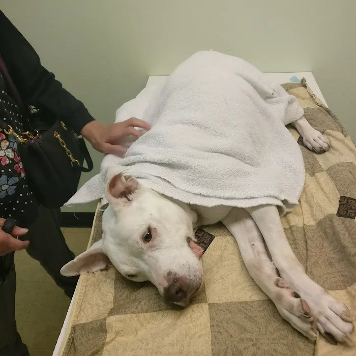 Westchase Animal Clinic 12