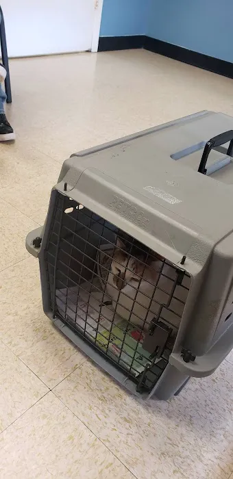Westchase Animal Clinic 12