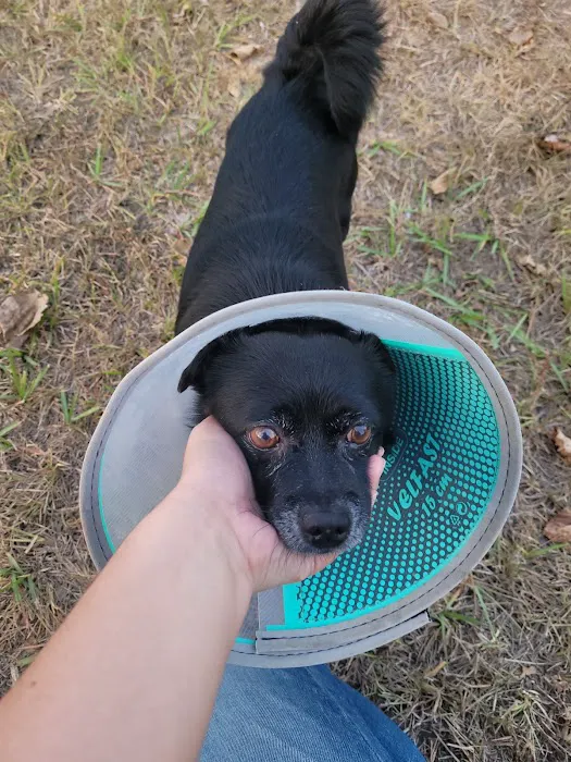 Westheimer Animal Clinic 12