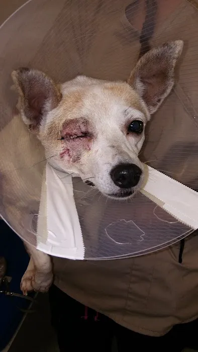 Westheimer Animal Clinic 12