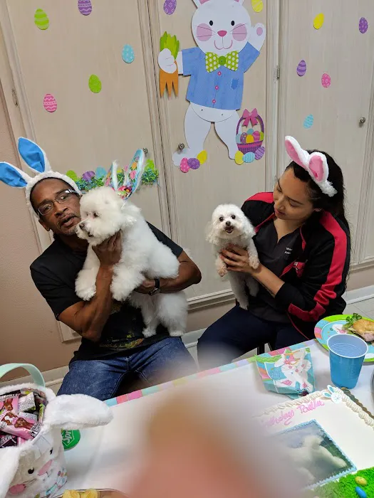 Westheimer Animal Clinic 12