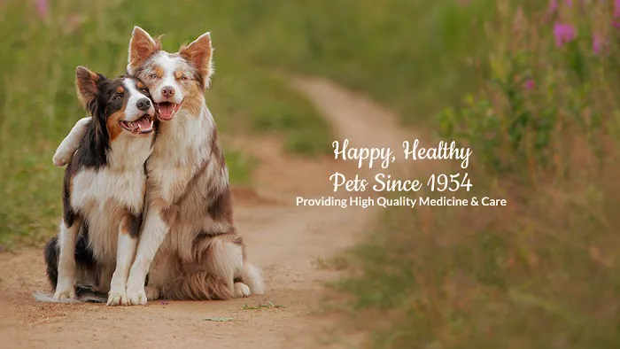 Bellaire-Richmond Pet Hospital 12
