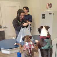 Roslyn Village Veterinarian ico