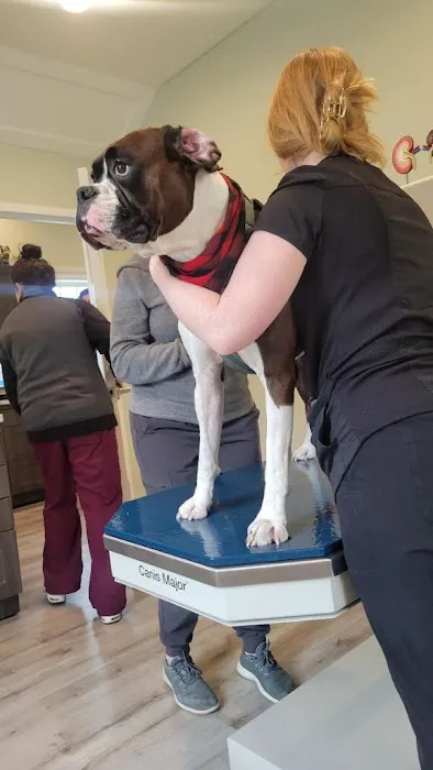 Roslyn Village Veterinarian 2