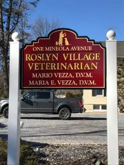 Roslyn Village Veterinarian 4