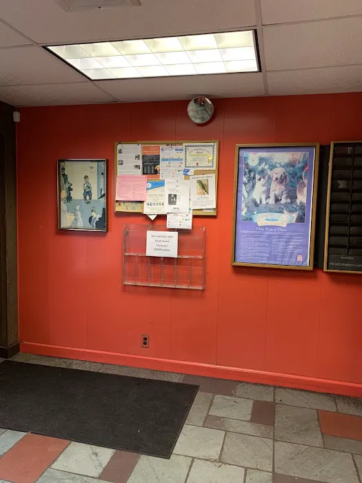 Port Washington Animal Hospital 7