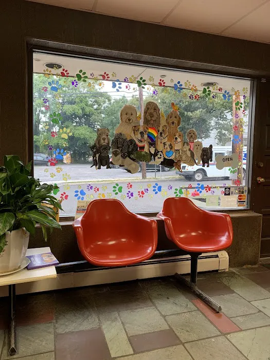 Port Washington Animal Hospital 8