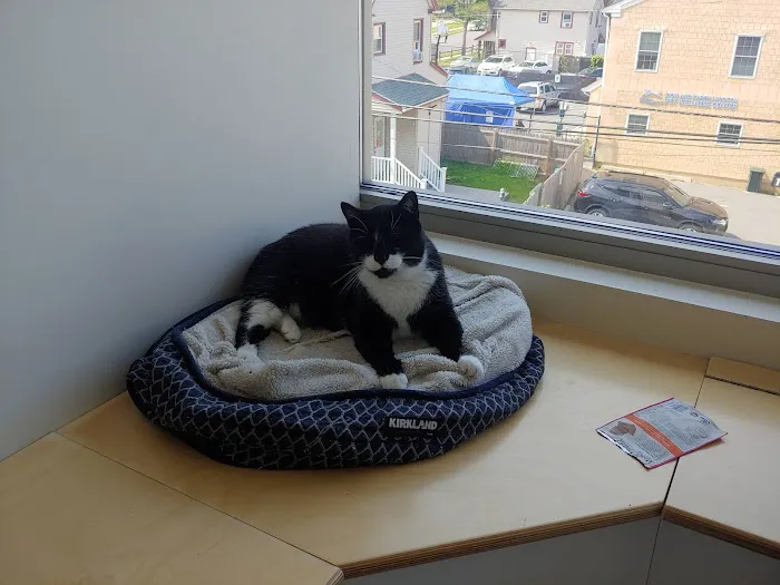 Pet Health Centers at North Shore Animal League America 5