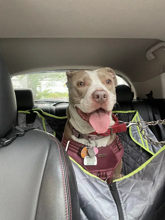 Pet Health Centers at North Shore Animal League America 7