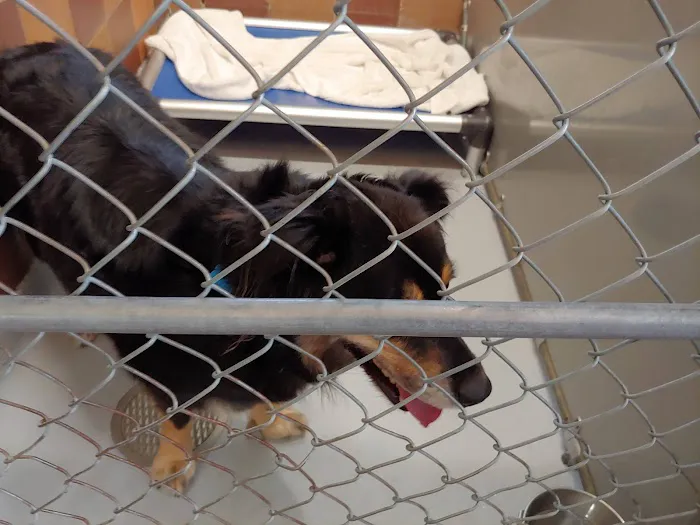 Pet Health Centers at North Shore Animal League America 3