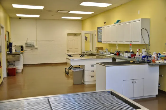 Garden City Veterinary Care 12