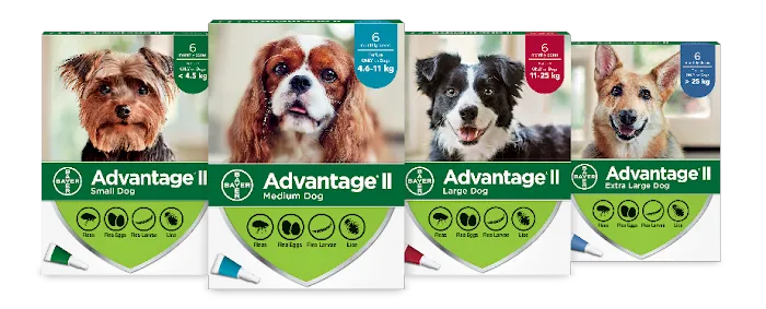 Pet Fantasy & Feed 6
