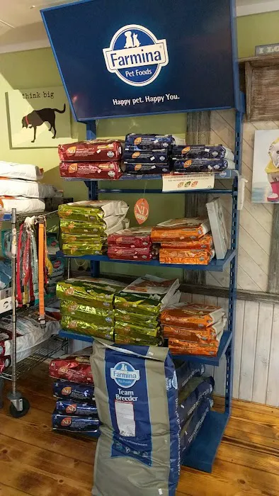 Lucy's Dog House 2