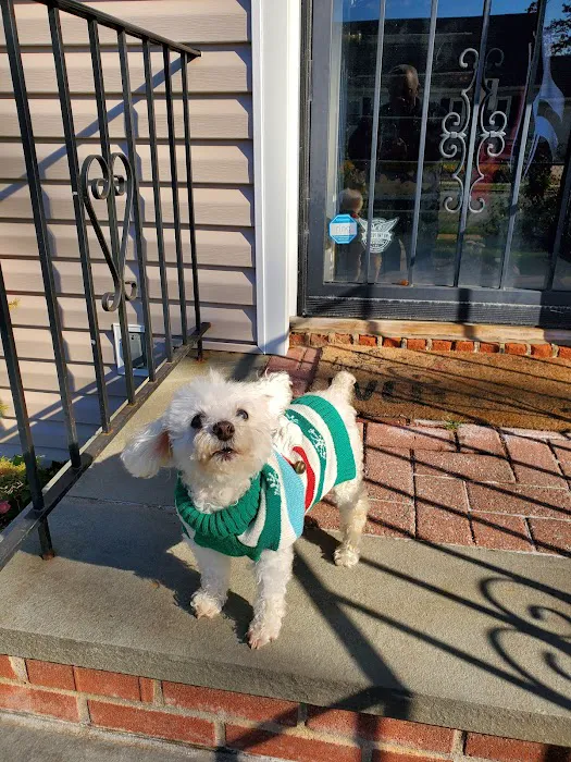 West Hempstead Animal Hospital 12