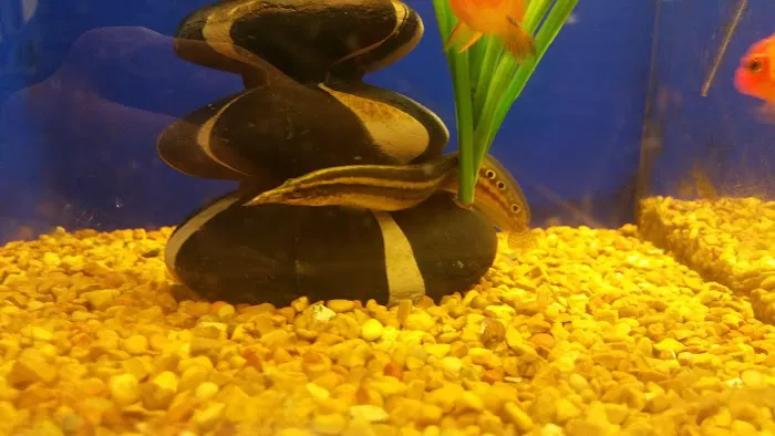 Banfield Pet Hospital 3