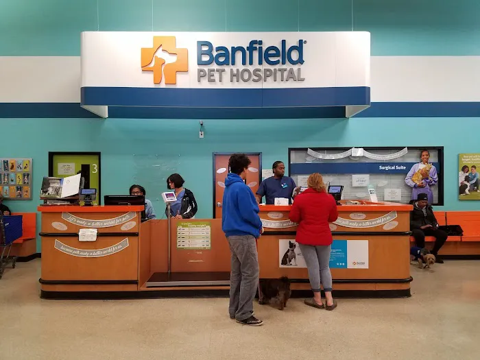Banfield Pet Hospital 4