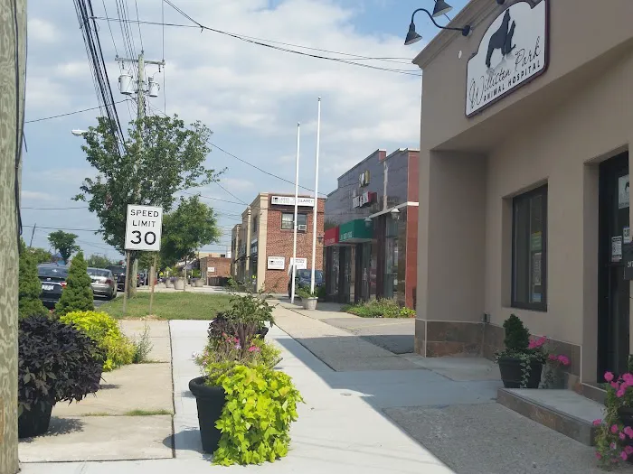 Williston Park Animal Hospital - Rehab & Acupuncture 12