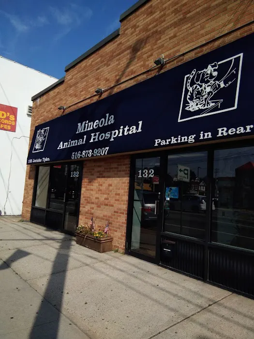 Mineola Animal Hospital 12