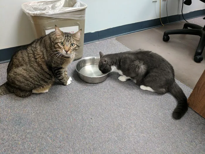 Mineola Animal Hospital 12